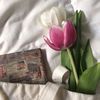 rose_336699