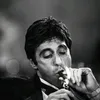 pedro.zw111