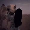 najd_656