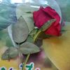 user6384311413209