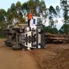 lintas_truck_logging