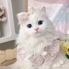 princesspari381