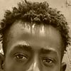 ali029551