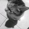 alyaa_gemoyy2