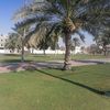 abu.yazan209