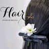 hairstudio_gp