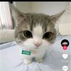 kyawmin.maung4