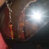 dxh_della_0833