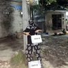 bocilscnd12_