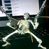 viralclipzz17