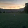 manu_131908