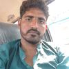 ali.gull3155