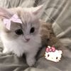 yasna.ssali