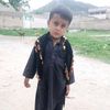 shaheen4079