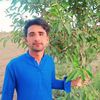 asif.shar416