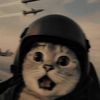 plxmz19
