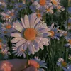 derrpm__88