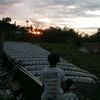 putra.andhika8