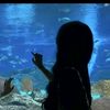 minn_liaa
