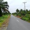 izoel0210