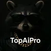 topaipro