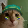 ninjinha__bs