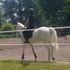 cecimusa_07
