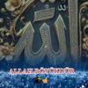 yevlax147