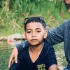 reynopgs_