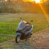 kepo.ya856