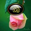 umer31039