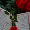 user8037707954019