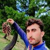 tahir2523260885218