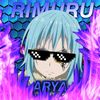 aryaprstt