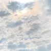 luna1234237