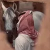 yt_.49