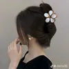 samaali7687