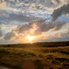 jos_jos_1643