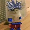 daniel_62960197