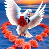 user5466621290617