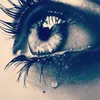 ha_shtred39