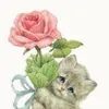 abdgrm3