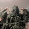he_green_boy