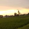 themughal033