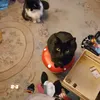 the_void_has_retu
