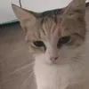 lareza_j