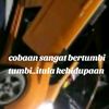 fahtir_putra1