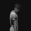 lancelot_lb
