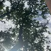 julianna_yayaya