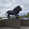 Promogilev24/7